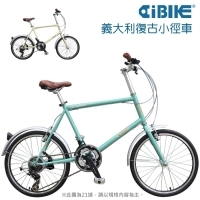 BREEZE - 20 inch 21 spd mini velo bicycle 